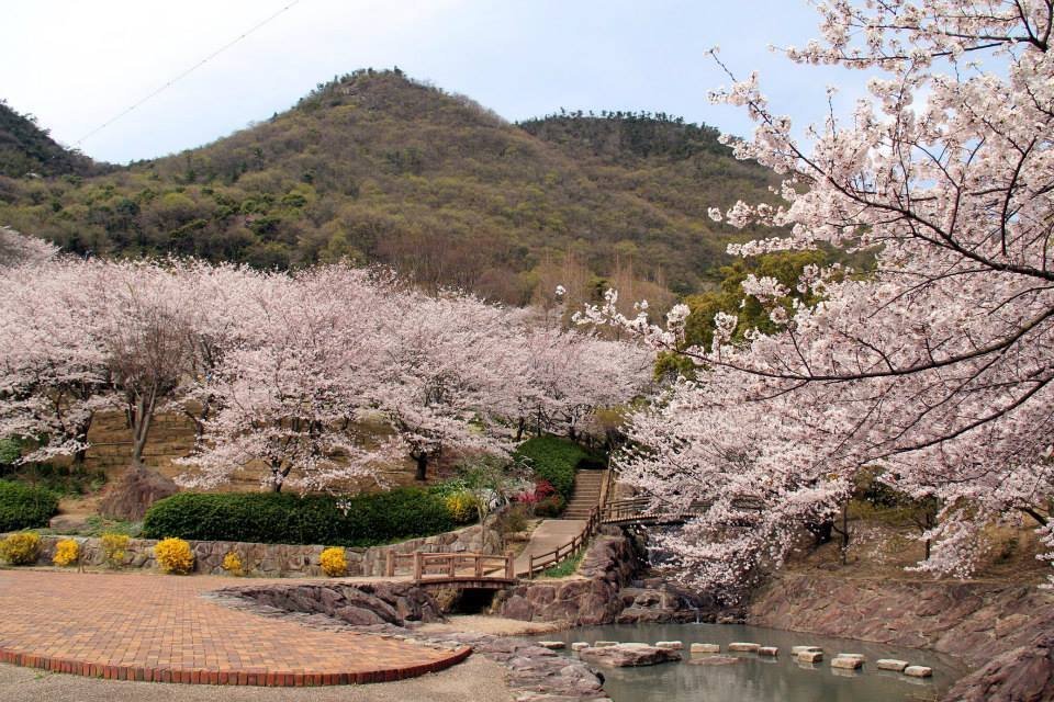 🏞️ 컨트리 파크 (カントリーパーク) 이미지 1